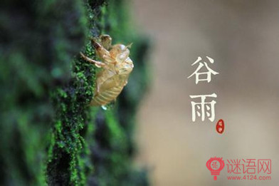 谷雨节气谚语