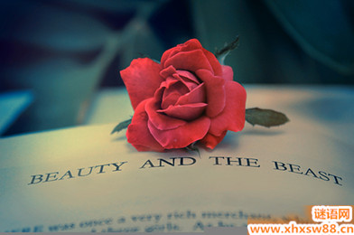 ���ڰ���Ӣ������