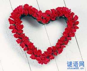 �йذ���Ӣ������