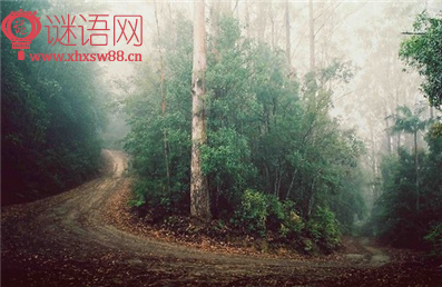 西班牙爱情谚语