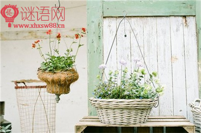 六级作文常用谚语英语