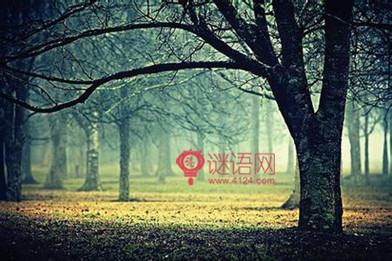 ���ٵ��������Ծ���5