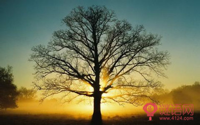 ��ѧ����ҵ��־���£���ѧ������������ֳ����4000��
