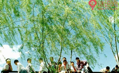 人生感悟 写的真好,一起共勉
