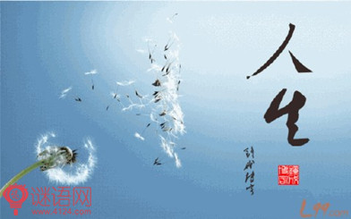 我们人生中最大的几个遗憾
