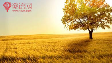 25个冷笑话感悟人生3