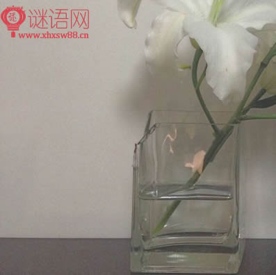 关于人生哲理感悟的句子