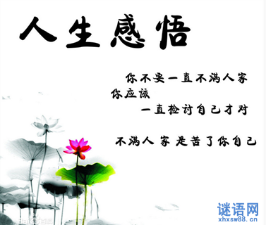 2013����������¼