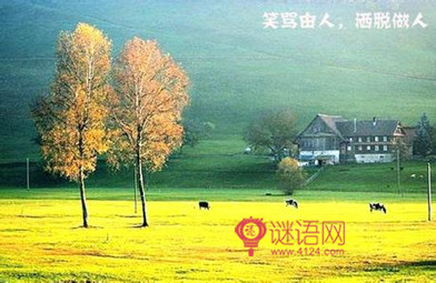 唯美有哲理的句子2