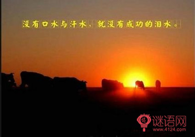 17个人生哲理笑话
