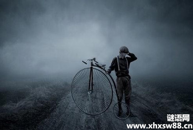 �Ŵ�������������
