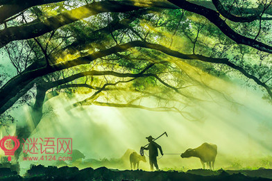名著中的经典哲理句子