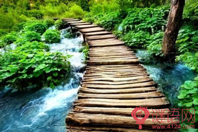 qq������������