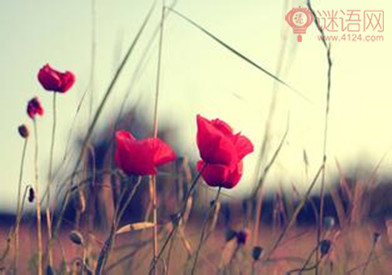 һλ����д��Ů����20�仰 Ů��һ��Ҫ��4
