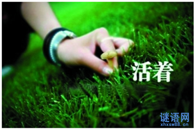 有关生命价值的名言集锦
