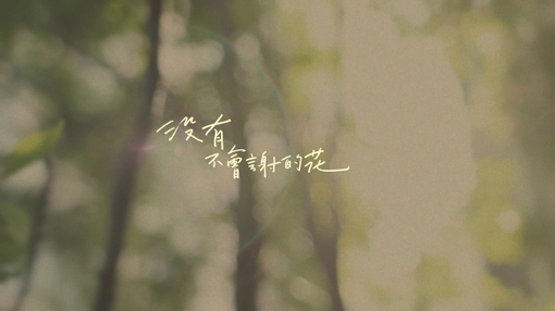 û�в���л�Ļ�