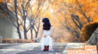 qq�ռ����԰�����Ӿ�ѡ