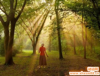�ǳ����˵İ�����Ӿ�ѡ