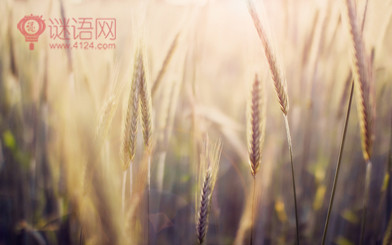 Ů������Ӧ�߱���7����ů����