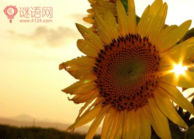 正能量: 改变一生的10条短句