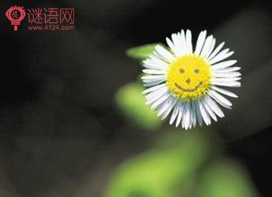 职场正能量故事