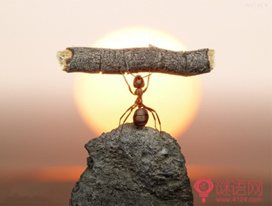 �ǳ����ã�25��Ů���³�����ѧ��18������