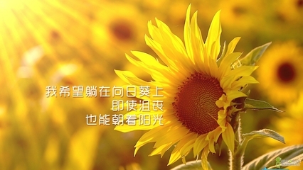 ������������һ�仰