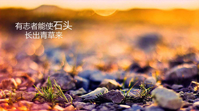活着的证明;微笑,是活着的方向