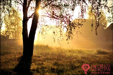 ��Щ��������־��������Ӣ�����