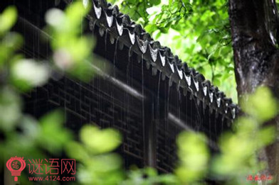 关于雨的俗语
