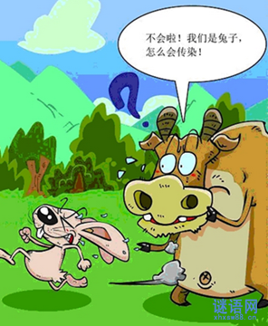 老牛追兔子歇后语