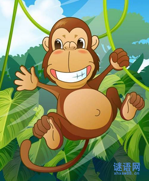 关于山中无老虎歇后语