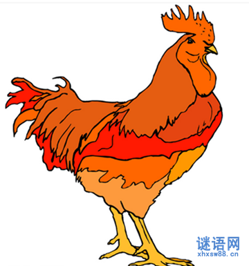 关于铁打的公鸡歇后语